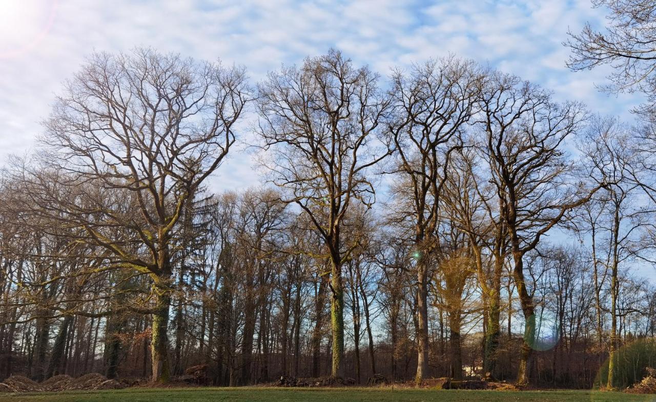 PeronnasAux Domaines D'Automne公寓 外观 照片